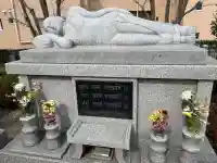 養国寺の{uncategorized: "未分類", other: "その他", undefined: "問題あり", building: "その他建物", grave: "お墓", sacred_gate: "鳥居", guardian: "狛犬", statue: "像", buddha: "仏像", history: "歴史", nature: "自然", garden: "庭園", animal: "動物", pagoda: "塔", temizu: "手水舎", mountain_gate: "山門・神門", sanctuary: "本殿・本堂", subordinate: "末社・摂社", art: "芸術", scenery: "景色", jizo: "地蔵", ema: "絵馬", goshuin: "御朱印", omikuji: "おみくじ", items: "授与品その他", amulet: "お守り", goshuincho: "御朱印帳", eats: "食事", festival: "お祭り", votive_dance: "神楽", shichigosan: "七五三参", wedding: "結婚式", experience: "体験その他", initially: "初詣", around: "周辺", anti_infection: "感染症対策"}