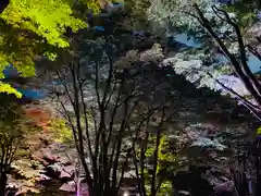 土津神社｜こどもと出世の神さまの自然