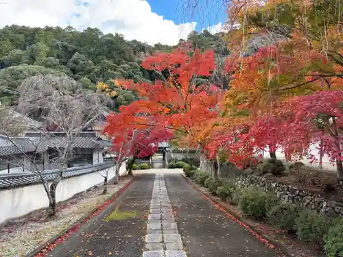 金剛寺(大阪府)