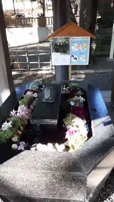 新琴似神社の手水舎