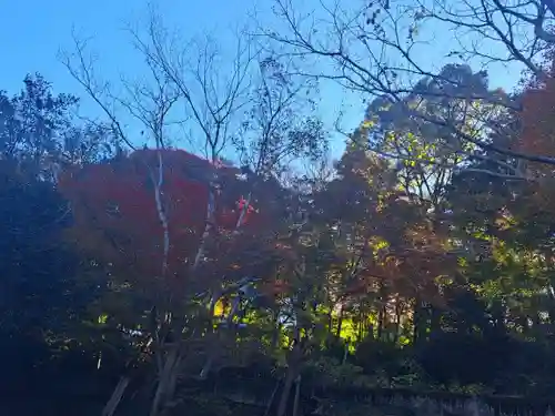 日向大神宮(京都府)