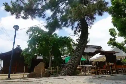 縣神社のその他建物