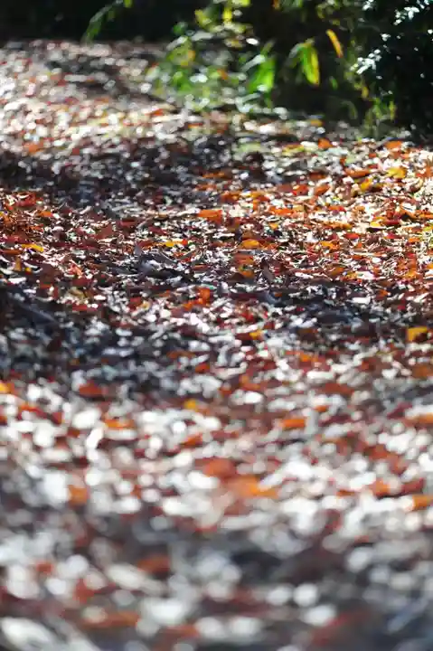 浄土寺(兵庫県)