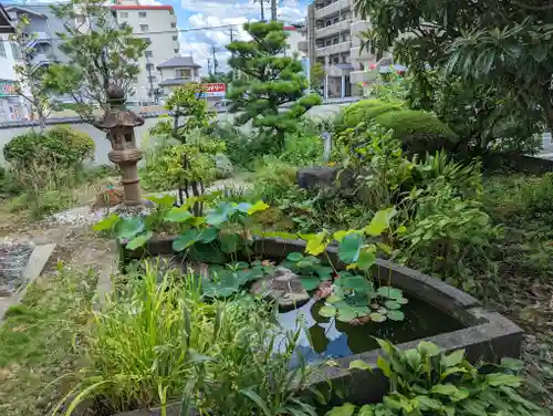 単伝庵(京都府)