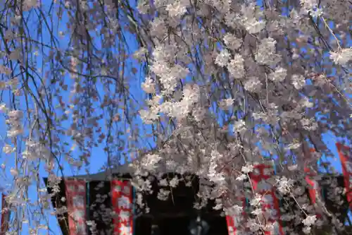 龍光寺の庭園