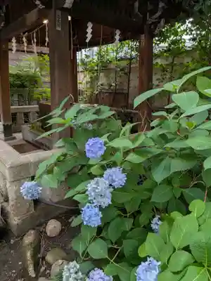 小野照崎神社(東京都)