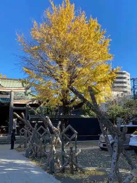 牛嶋神社の自然