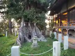 熊野神社の建物その他