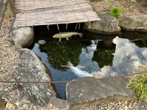 来迎寺(東京都)
