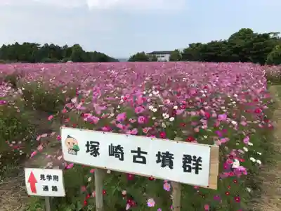八幡神社の周辺