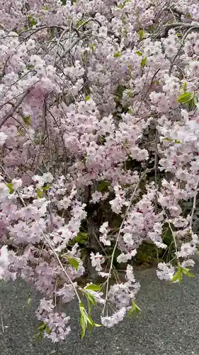 慈眼寺(京都府)