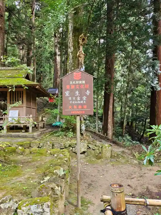 室生寺(奈良県)