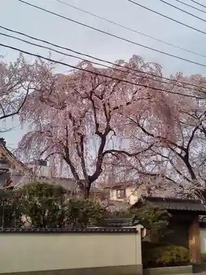 孝勝寺(宮城県)