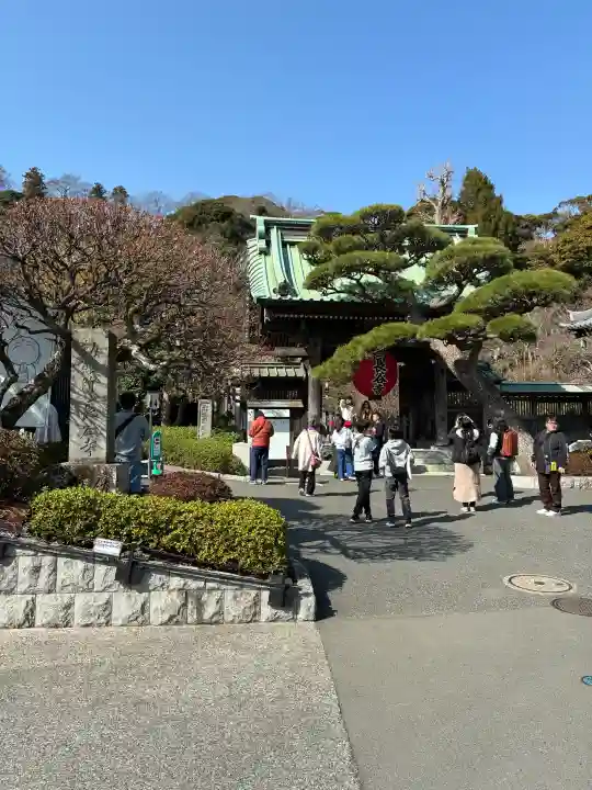 長谷寺の{uncategorized: "未分類", other: "その他", undefined: "問題あり", building: "その他建物", grave: "お墓", sacred_gate: "鳥居", guardian: "狛犬", statue: "像", buddha: "仏像", history: "歴史", nature: "自然", garden: "庭園", animal: "動物", pagoda: "塔", temizu: "手水舎", mountain_gate: "山門・神門", sanctuary: "本殿・本堂", subordinate: "末社・摂社", art: "芸術", scenery: "景色", jizo: "地蔵", ema: "絵馬", goshuin: "御朱印", omikuji: "おみくじ", items: "授与品その他", amulet: "お守り", goshuincho: "御朱印帳", eats: "食事", festival: "お祭り", votive_dance: "神楽", shichigosan: "七五三参", wedding: "結婚式", experience: "体験その他", initially: "初詣", around: "周辺", anti_infection: "感染症対策"}