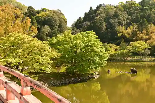 白水阿弥陀堂の庭園