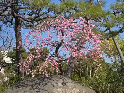 菅原神社(大阪府)