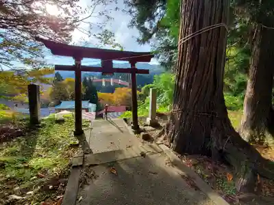 絵馬ヶ沢稲荷大明神の鳥居