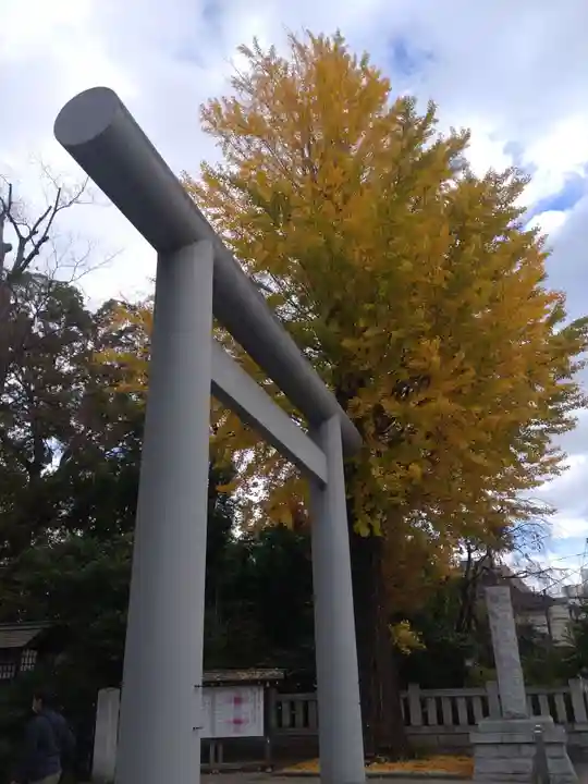 阿佐ヶ谷神明宮の鳥居