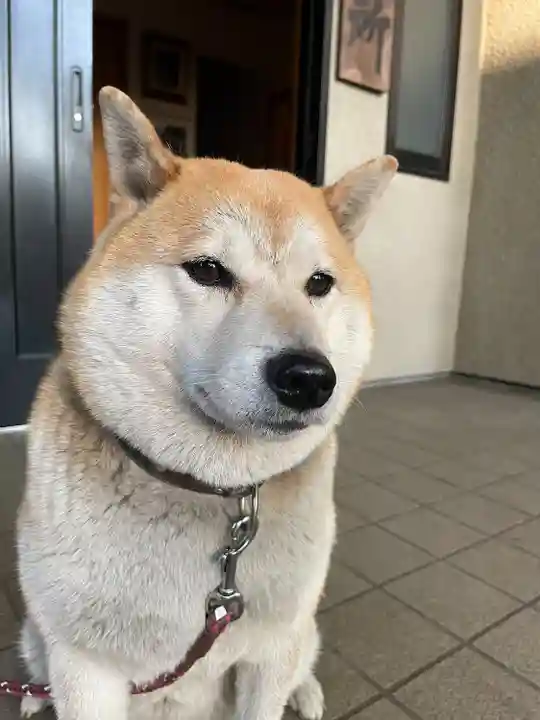 笠䅣稲荷神社(神奈川県)