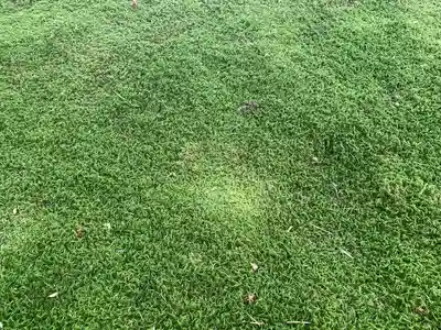 修禅寺(静岡県)