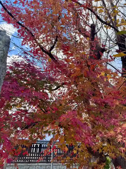 石坐神社(滋賀県)
