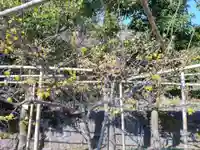 祐徳稲荷神社(佐賀県)