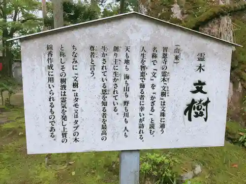 智恩寺(京都府)