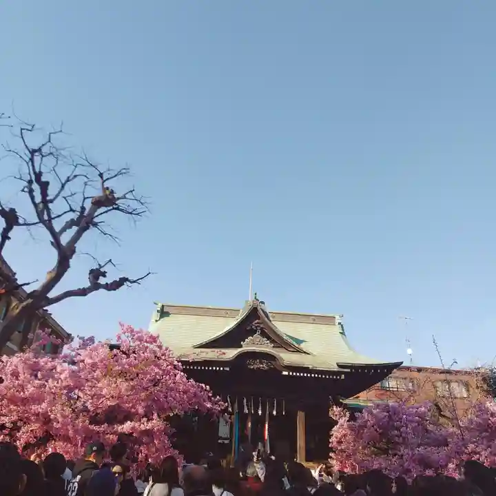桜神宮(東京都)