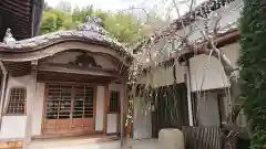 胎蔵寺の建物その他