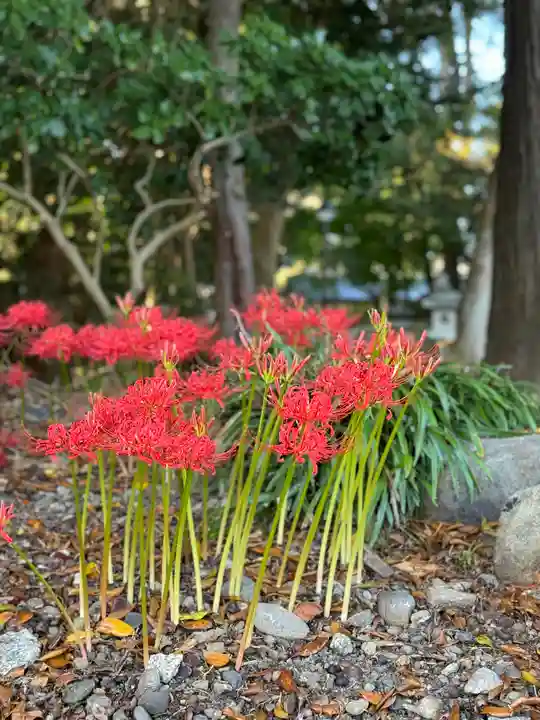 沙沙貴神社(滋賀県)