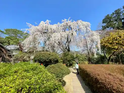 中院の{uncategorized: "未分類", other: "その他", undefined: "問題あり", building: "その他建物", grave: "お墓", sacred_gate: "鳥居", guardian: "狛犬", statue: "像", buddha: "仏像", history: "歴史", nature: "自然", garden: "庭園", animal: "動物", pagoda: "塔", temizu: "手水舎", mountain_gate: "山門・神門", sanctuary: "本殿・本堂", subordinate: "末社・摂社", art: "芸術", scenery: "景色", jizo: "地蔵", ema: "絵馬", goshuin: "御朱印", omikuji: "おみくじ", items: "授与品その他", amulet: "お守り", goshuincho: "御朱印帳", eats: "食事", festival: "お祭り", votive_dance: "神楽", shichigosan: "七五三参", wedding: "結婚式", experience: "体験その他", initially: "初詣", around: "周辺", anti_infection: "感染症対策"}