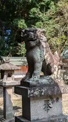 和伎坐天乃夫岐売神社(京都府)