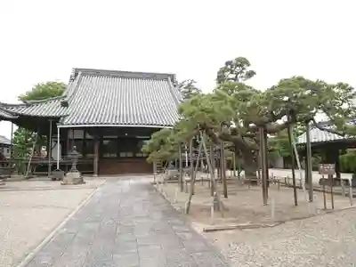 徳念寺の本殿・本堂
