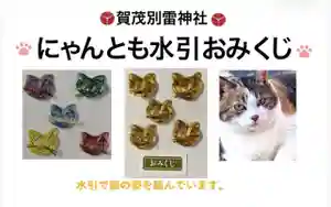 猫の日を祝い、「にゃんとも水引おみくじ」を社頭で頒布しています。
おみくじに水引で作った猫の顔形が付いてきます。
2月21日から金色の猫も入ります。
猫ちゃんが良い運を導いてくれる事を願いました。
全ての猫が幸せでありますように。
※無くなり次第終了となります。予めご了承ください。
https://tadakamowake.com/
※12時から授与所はしばらくお昼休憩を取っています。ご配慮願えれば幸いです。
※授与所対応は午前9時〜午後5時までとなります。早すぎず、遅すぎずのお越しをお願い致します。
※授与所不在日、不在時間もございます。HPやX、instagram等で事前にお確かめ下さい。
#栃木県
#佐野市
#賀茂別雷神社
#猫の日
#おみくじ