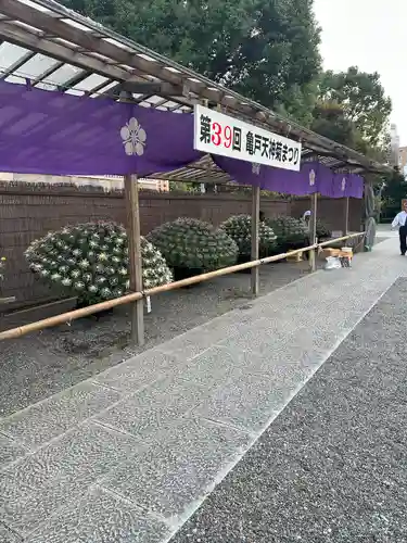 亀戸天神社(東京都)