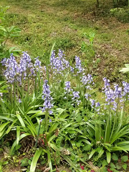 上合寺(福島県)
