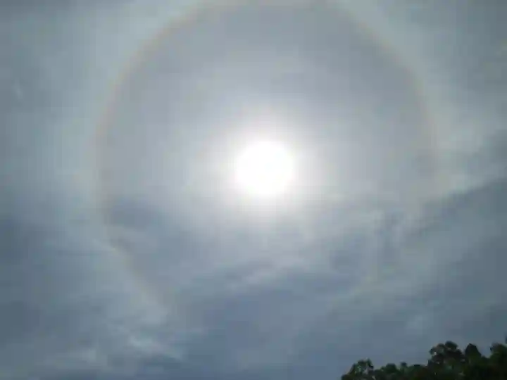 屋久島大社の自然