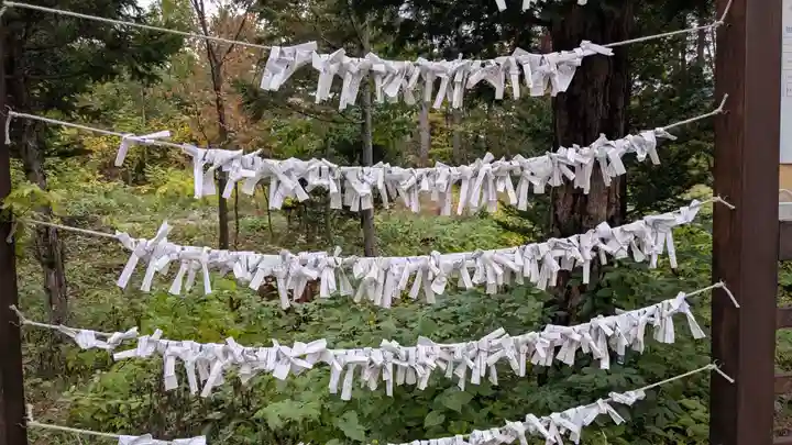 大正神社のおみくじ