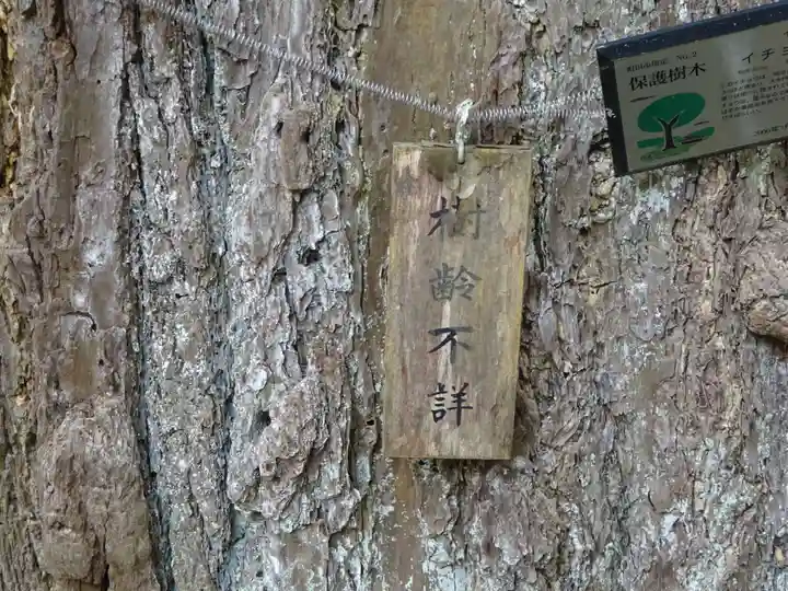 野津田薬師堂(福王寺)の自然