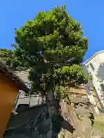 根岸町王子稲荷社(神奈川県)