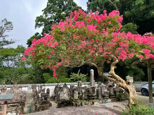金剛證寺(三重県)