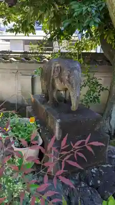 香雪院(京都府)