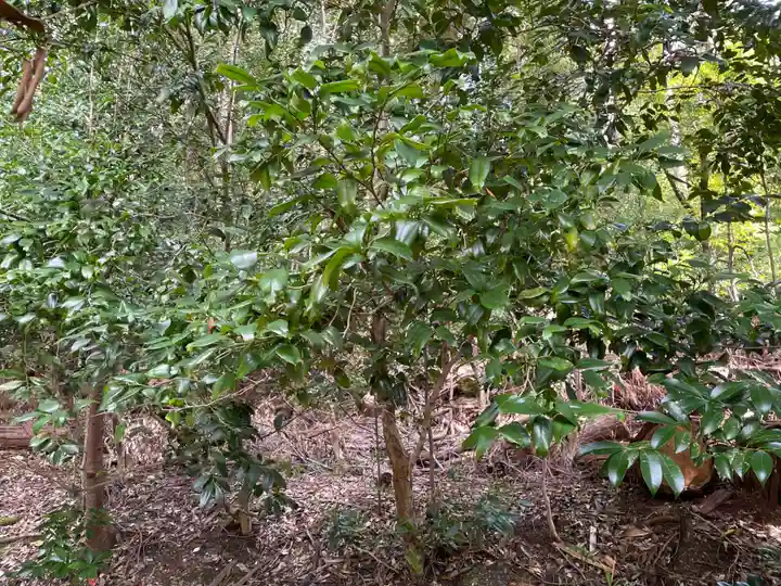平岡八幡宮(京都府)