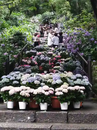 長谷寺(奈良県)