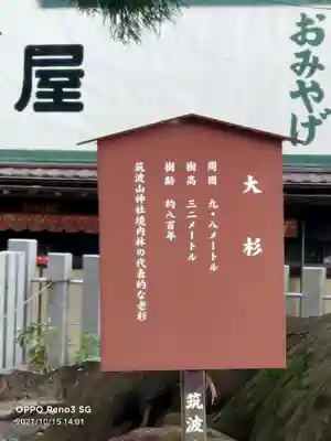 筑波山神社(茨城県)