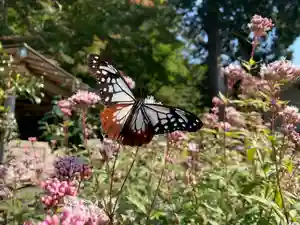 普門寺(切り絵御朱印発祥の寺)(愛知県)(2022年10月23日(日) 10時18分28秒投稿)