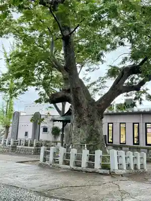 阿邪訶根神社(福島県)