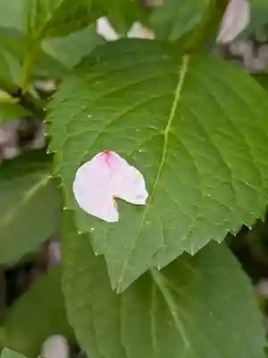 乃木神社(東京都)