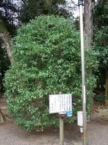 息栖神社の建物その他