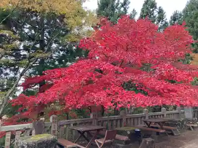 大山阿夫利神社(神奈川県)
